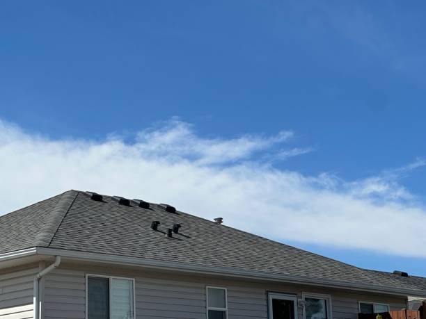 Best Chimney Flashing Repair  in Oak Leaf, TX